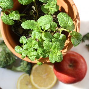 Vitality juice ingredients