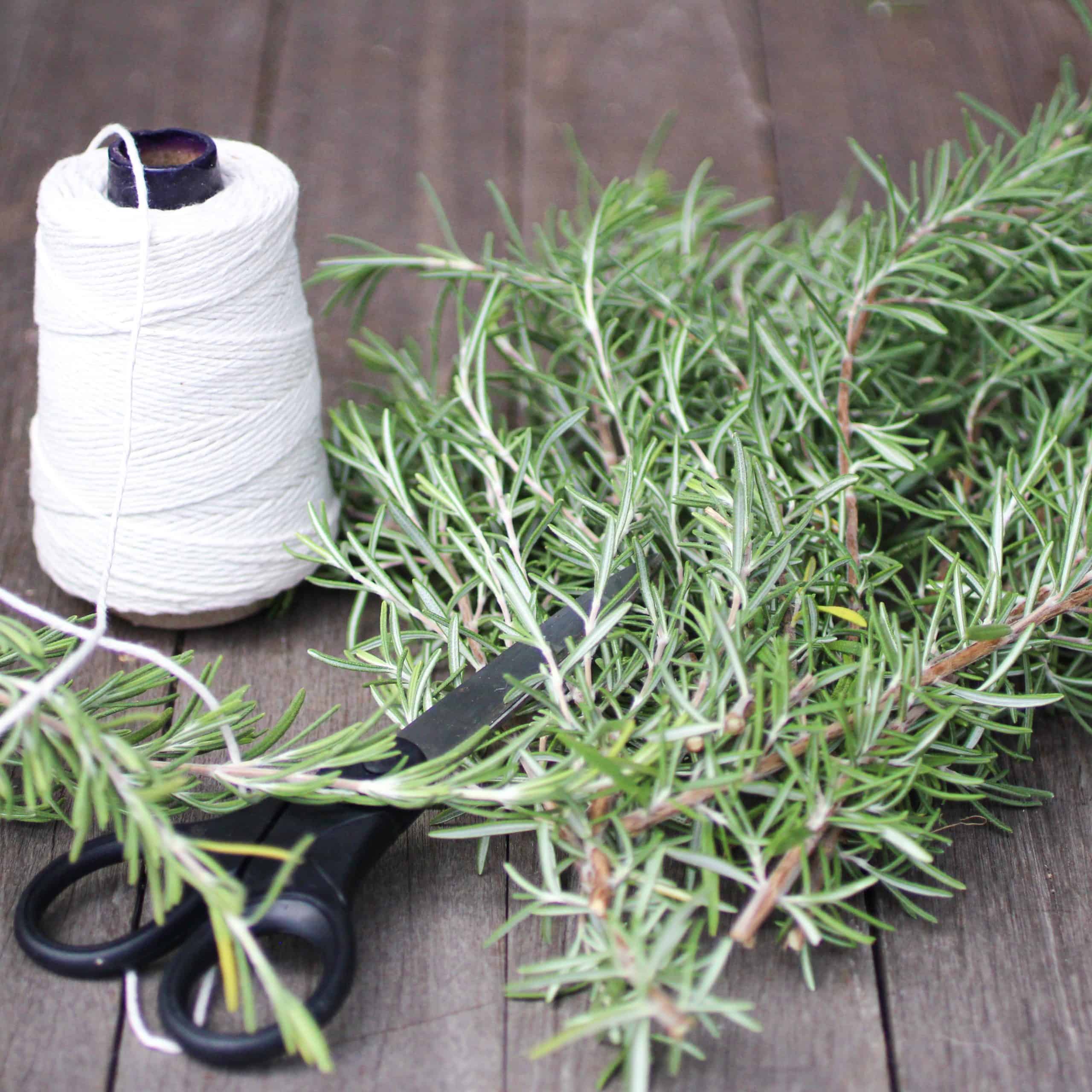 Drying Herbs at Home