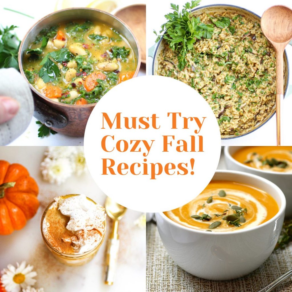 Must try cozy Fall recipes