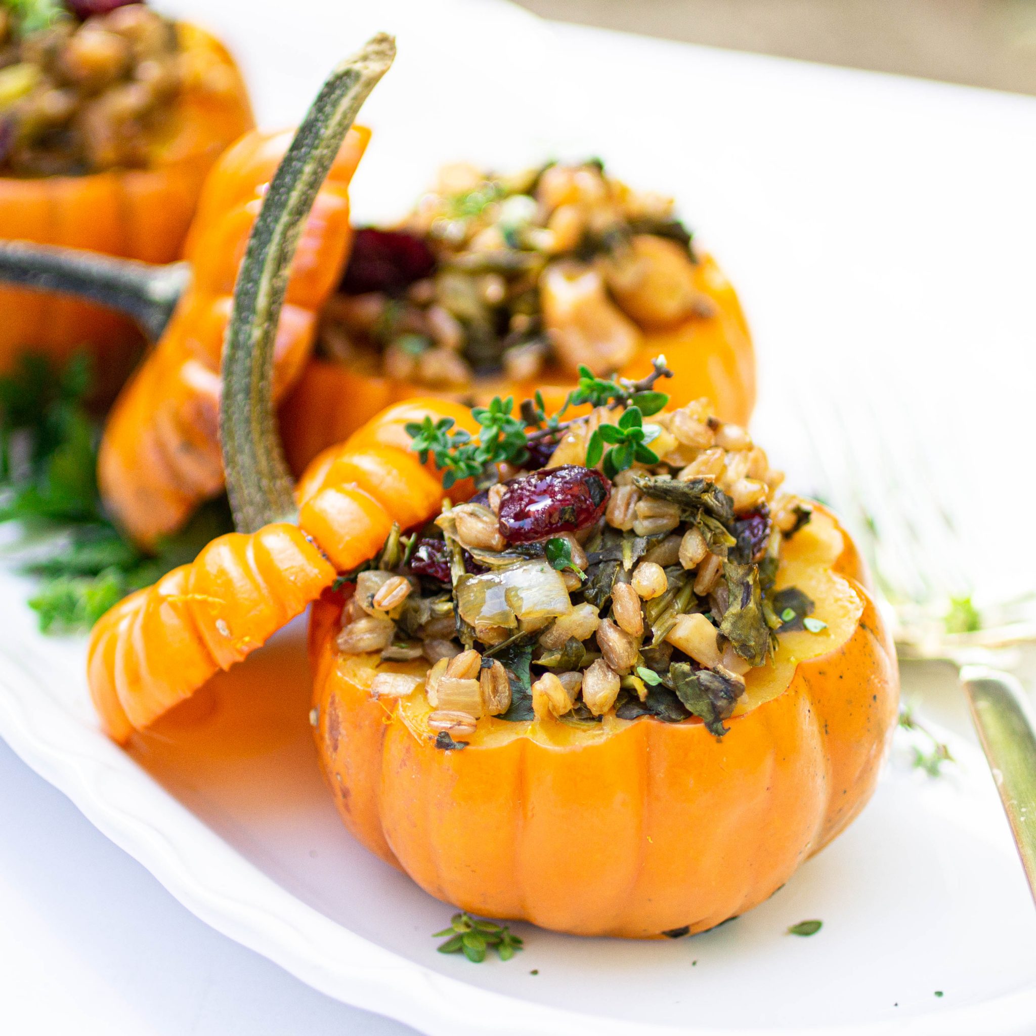 Stuffed Mini Pumpkins - The Well Fed Yogi